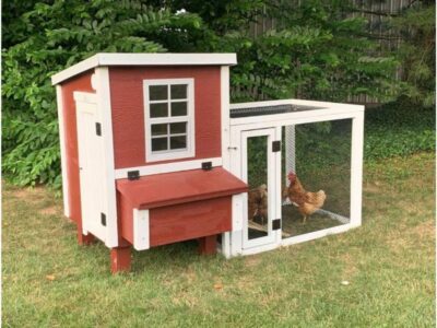 Chicken Coop In A Box